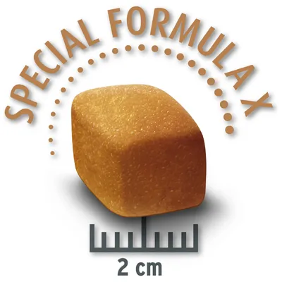 Парче храна с надпис "Special Formula X", размер 2 см, показано с мащаб.