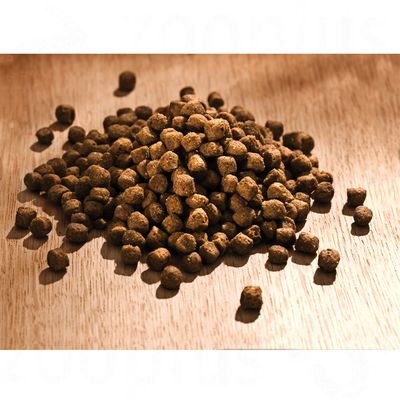 Croquetas de pienso seco para mascotas, color marrón, presentadas en un montón sobre superficie de madera. No se muestra marca ni información adicional visible.