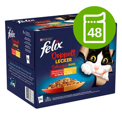 Purina Felix Doppelt Lecker Duos, 48 saszetek. Widoczny karton z wizerunkiem kota i miski karmy. Tekst na opakowaniu w języku niemieckim i francuskim.