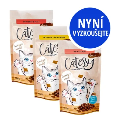 Catessy Snack 65 g: with beef & malt, with poultry & cheese, with salmon. Text: Crunchy'n smooth! Nyní vyzkoušejte. Catessy Snack 65 g: with beef & malt, with poultry & cheese, with salmon. Text: Crunchy'n smooth! Nyní vyzkoušejte.