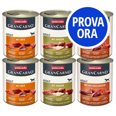 6 lattine Animonda GranCarno Adult: mit Ente, mit Pansen, mit Geflügelherzen. Testo visibile: 100% frische Zutaten, senza cereali e glutine, Made in Germany. Cerchio blu: PROVA ORA. 6 lattine Animonda GranCarno Adult: mit Ente, mit Pansen, mit Geflügelherzen. Testo visibile: 100% frische Zutaten, senza cereali e glutine, Made in Germany. Cerchio blu: PROVA ORA.