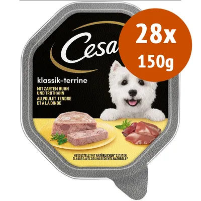 Cesar klassik-terrine, confezione da 28 vaschette da 150 g. Testo visibile: mit zartem Huhn und Truthahn, au poulet tendre et à la dinde. Immagine di terrina e cane bianco. Cesar klassik-terrine, confezione da 28 vaschette da 150 g. Testo visibile: mit zartem Huhn und Truthahn, au poulet tendre et à la dinde. Immagine di terrina e cane bianco.