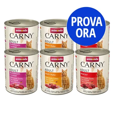 6 lattine Animonda Carny Adult per gatti, vari gusti: Multifleich-Cocktail, Rind + Huhn, Rind pur. Testo visibile: 'PROVA ORA', 100% frische Zutaten, Ohne Getreide, Made in Germany.