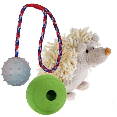 Drei verschiedene Hundespielzeuge: ein Plüschigel, ein grüner Gummiring mit Pfotenabdrücken und ein genoppter Ball an einer rot-blau-weißen Kordel.