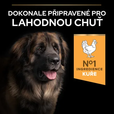 Perfektně připravené pro lahodnou chuť. Č. 1 ingredience: kuře. Obrázek psa a kuřete. Perfektně připravené pro lahodnou chuť. Č. 1 ingredience: kuře. Obrázek psa a kuřete.