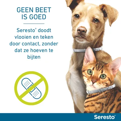 Seresto doodt vlooien en teken door contact, zonder dat ze hoeven te bijten. Afbeelding van hond en kat met Seresto halsband. Seresto merknaam zichtbaar.