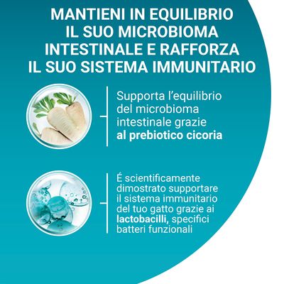 Mantieni in equilibrio il suo microbioma intestinale e rafforza il sistema immunitario. Prebiotico cicoria e lactobacilli per supporto intestinale e immunitario del gatto.