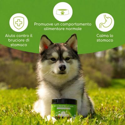Wolfsbacher Natur Snack contro Coprofagia e Picacismo