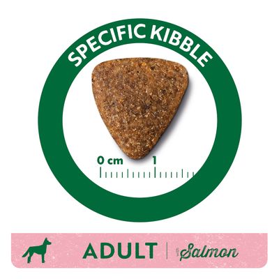 Granula s nápisom SPECIFIC KIBBLE, meradlo 0–1 cm, text ADULT with Salmon. Zelený kruh okolo granuly, ružový pásik so siluetou psa a textom.