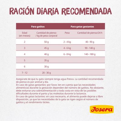 Tabla de ración diaria recomendada Josera: para gatitos según edad y peso, para gatas gestantes según peso. Incluye cantidades en gramos por día y consejos de alimentación.