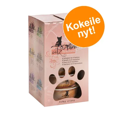 catz finefood 6 x 85 g, 6 Schalen in 6 Sorten. Oranssi ympyrä tekstillä: Kokeile nyt! Pakkauksessa ikkunat, joista näkyy annosrasioita.