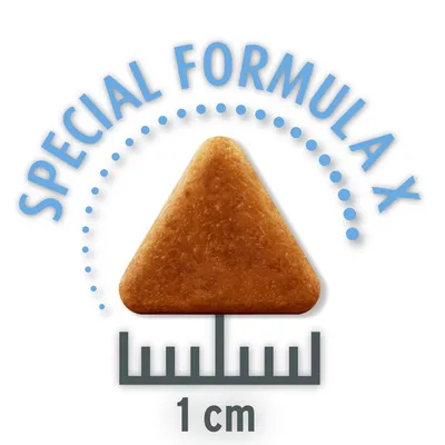Trozo de pienso seco triangular con la inscripción 'Special Formula X' y medida de 1 cm.