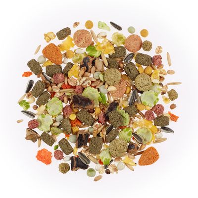 Olika foderingredienser som korn, frön, grönsaker och pressade pellets i en blandning.