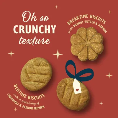 Lily's Kitchen Advent Calendar for Dogs