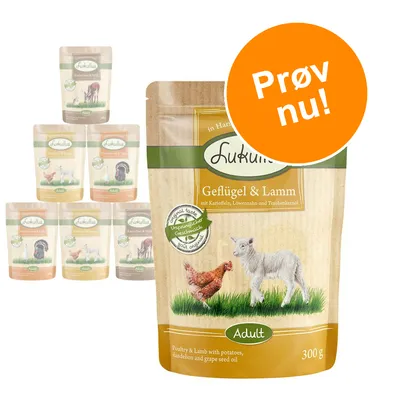 Lukullus Geflügel & Lamm Adult 300 g, synlige varianter i baggrunden. Tekst på orange cirkel: Prøv nu! Synlig tekst: Original taste Ursprünglicher Geschmack Soft original.