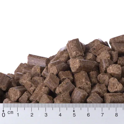 Bruine brokjes diervoeding, stapelvormig weergegeven met liniaal eronder; brokjes zijn ongeveer 1–2 cm groot.