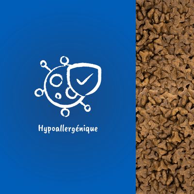 Texte « Hypoallergénique » avec un pictogramme de bouclier et croquettes visibles à droite de l’image.