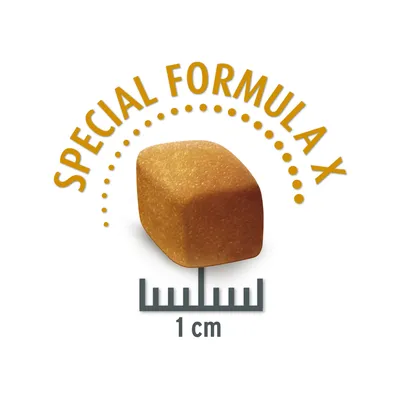 Produktstykke med teksten 'Special Formula X', størrelse 1 cm vist med målestok.