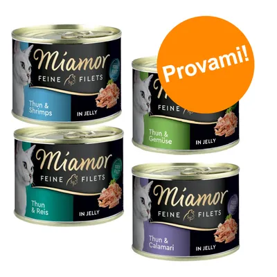 Quattro lattine Miamor Feine Filets in jelly: Thun & Shrimps, Thun & Verdure, Thun & Riso, Thun & Calamari. Etichetta arancione con testo: Provami! Quattro lattine Miamor Feine Filets in jelly: Thun & Shrimps, Thun & Verdure, Thun & Riso, Thun & Calamari. Etichetta arancione con testo: Provami!