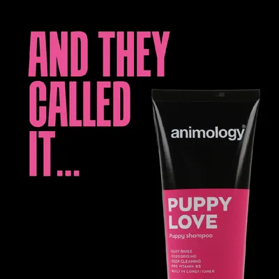 Text reads 'AND THEY CALLED IT...' next to a tube labelled 'animology PUPPY LOVE Puppy shampoo' with features: easy rinse, deodorising, deep cleaning, pro vitamin B5, built-in conditioner.