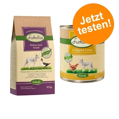 Lukullus Adult Hundefutter: Trockenfutter Barbarie-Ente & Lamm, 10kg; Nassfutter Geflügel & Lamm mit Kartoffeln, Löwenzahn und Leinöl, 800g. Jetzt testen! Lukullus Adult Hundefutter: Trockenfutter Barbarie-Ente & Lamm, 10kg; Nassfutter Geflügel & Lamm mit Kartoffeln, Löwenzahn und Leinöl, 800g. Jetzt testen!