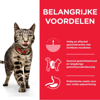 BELANGRIJKE VOORDELEN: Veilig en effectief gewichtsverlies met zichtbare resultaten, gezond gewichtsbehoud en langdurige gewichts­ondersteuning, prebiotische vezels voor vlotte spijsvertering.
