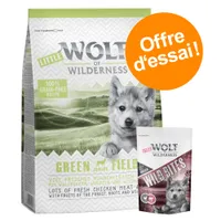 Wolf of Wilderness Little Green Fields Junior, 100 % grain-free recipe, offre d’essai, sachet Wild Bites visible. Texte en anglais : lots of fresh chicken meat & fruits of the forest.