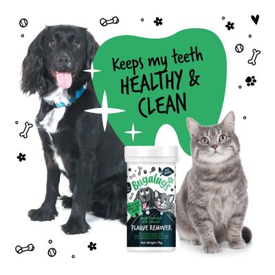Plaque remover product with a dog and cat, text reads: Keeps my teeth healthy & clean. Product label shows Bugalugs Plaque Remover, net weight 75g, hand-harvested Irish seaweed.