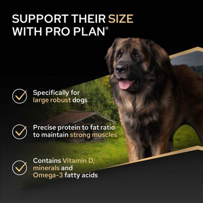 PRO PLAN: Za velike, močne pse. Natančno razmerje med beljakovinami in maščobami za močne mišice. Vsebuje vitamin D, minerale in omega-3 maščobne kisline.