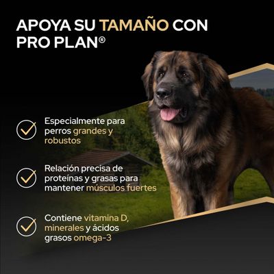Apoya a los perros grandes con Pro Plan: especialmente diseñado para perros grandes y robustos, proporción equilibrada de proteínas y grasas, contiene vitamina D, minerales y ácidos grasos omega-3.