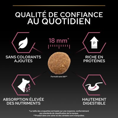 Croquettes de 18 mm de diamètre, sans colorants, riches en protéines, absorption élevée des nutriments, hautement digestibles, formulées sans blé.
