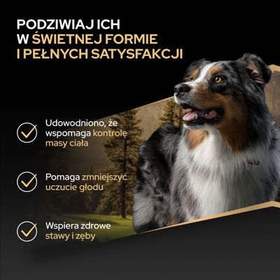 Wspomaga kontrolę masy ciała, pomaga zmniejszyć uczucie głodu oraz wspiera zdrowe stawy i zęby.