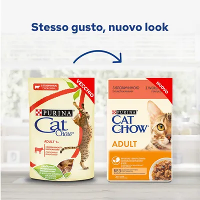 Confronto tra vecchio e nuovo packaging di Purina Cat Chow Adult, con testo 'Stesso gusto, nuovo look' e freccia che collega le due confezioni.