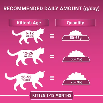 Fodringsvejledning til killinger: 6–12 uger 50–65 g, 12–26 uger 65–75 g, 26–52 uger 75–70 g dagligt. Tekst: Kitten 1–12 months. Al tekst på engelsk.