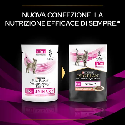 Due confezioni di PURINA PRO PLAN VETERINARY DIETS UR ST/OX URINARY per gatti, vecchio e nuovo design, testo: 'NUOVA CONFEZIONE. LA NUTRIZIONE EFFICACE DI SEMPRE.'