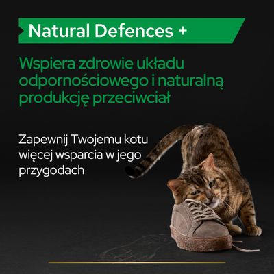 Natural Defences+. Wspiera zdrowie układu odpornościowego i naturalną produkcję przeciwciał. Zapewnij Twojemu kotu więcej wsparcia w jego przygodach.