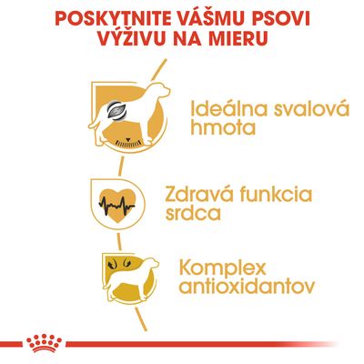 Poskytnite vášmu psovi výživu na mieru: Ideálna svalová hmota, zdravá funkcia srdca, komplex antioxidantov.