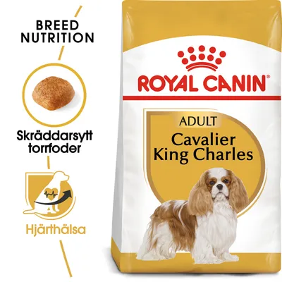 Royal Canin Adult Cavalier King Charles torrfoder, skräddarsytt för rasen. Text: Hjärthälsa. Bild på foderbit och hund.