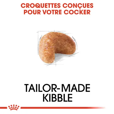 Texte : Croquettes conçues pour votre Cocker. TAILOR-MADE KIBBLE. Image d’une croquette en forme de demi-lune sur fond blanc.