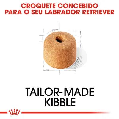 Texto: Croquete concebido para o seu Labrador Retriever. Tailor-made kibble. Imagem de um croquete redondo com furo no centro.