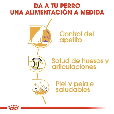 Da a tu perro una alimentación a medida. Control del apetito, salud de huesos y articulaciones, piel y pelaje saludables.