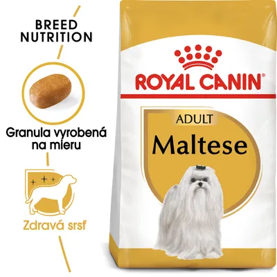 Royal Canin ADULT Maltese, granula vyrobená na mieru, zdravá srsť. Balenie krmiva s obrázkom maltezského psa a detailom granuly.