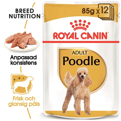 Royal Canin Adult Poodle våtfoder 85 g x12. Text: Anpassad konsistens, Frisk och glansig päls, Breed Nutrition. Bild på pudel och foderbit.