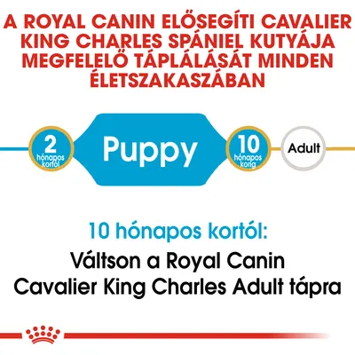 A Royal Canin Cavalier King Charles spániel táp 2 hónapos kortól Puppy, 10 hónapos korig. 10 hónapos kortól váltson Adult tápra.