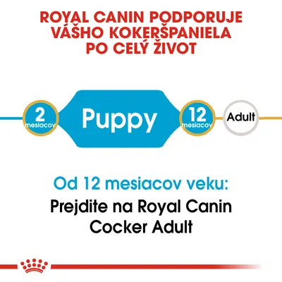 Royal Canin podporuje vášho kokeršpaniela po celý život. Od 12 mesiacov veku: Prejdite na Royal Canin Cocker Adult. Puppy od 2 do 12 mesiacov.