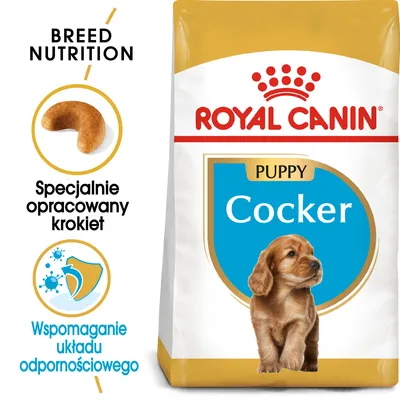Karma Royal Canin Puppy Cocker, opakowanie z psem, tekst: Specjalnie opracowany krokiet, Wspomaganie układu odpornościowego, Breed Nutrition. Karma Royal Canin Puppy Cocker, opakowanie z psem, tekst: Specjalnie opracowany krokiet, Wspomaganie układu odpornościowego, Breed Nutrition.
