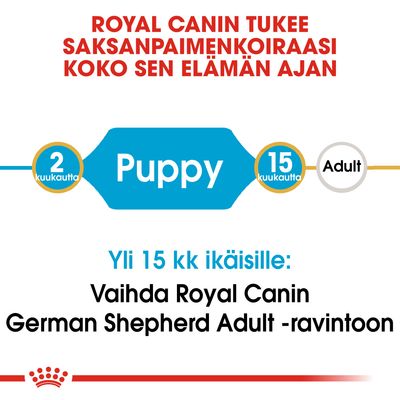 ROYAL CANIN tukee saksanpaimenkoiraasi koko elämän ajan. 2 kuukautta Puppy, 15 kuukautta Adult. Yli 15 kk ikäisille: Vaihda Royal Canin German Shepherd Adult -ravintoon.
