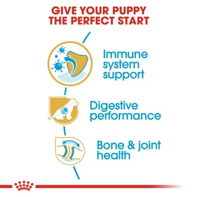 Text: Give your puppy the perfect start. Immune system support. Digestive performance. Bone & joint health.