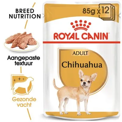 Royal Canin Adult Chihuahua natvoer, 85g x12. Tekst: Breed Nutrition, aangepaste textuur, gezonde vacht. Afbeelding van een chihuahua en voer op een bord.