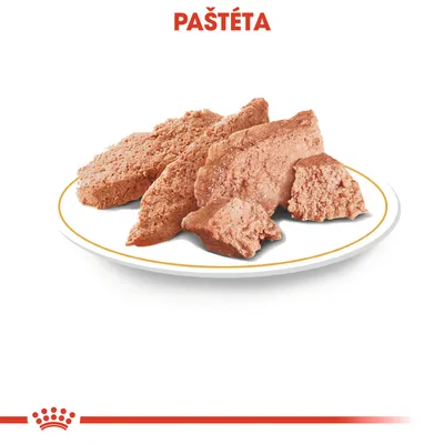 Paštéta na bielom tanieri, nad obrázkom červený nápis PAŠTÉTA. Spodná časť s červenou korunkou a pásikom.